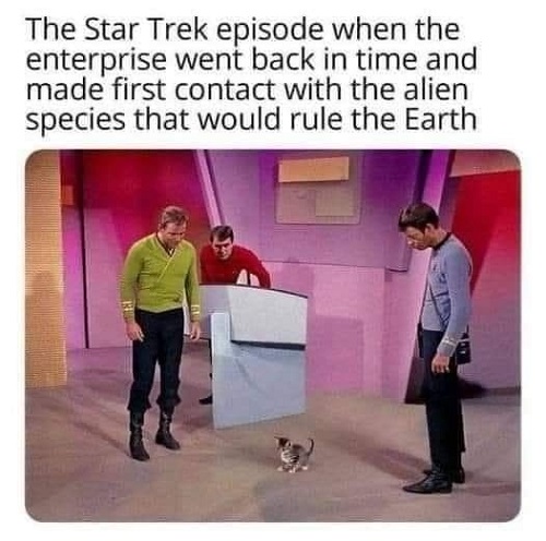 star trek cat will rule earth.jpg